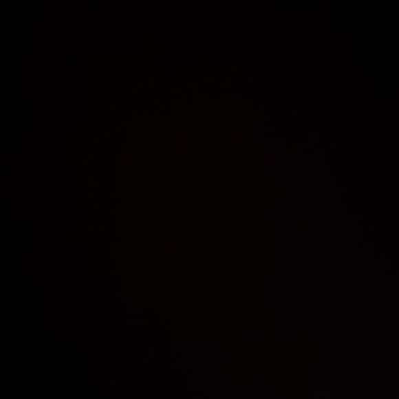 Meet your Posher, Elizabeth - Picture 1 of 1